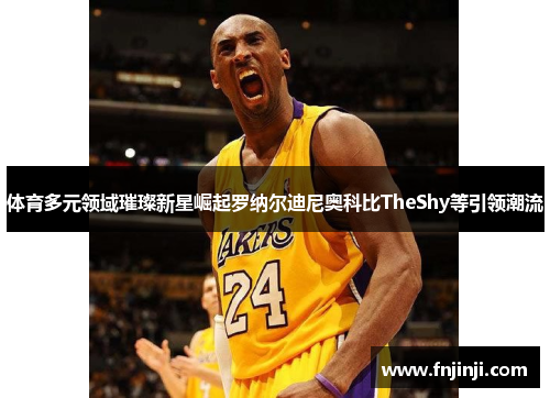体育多元领域璀璨新星崛起罗纳尔迪尼奥科比TheShy等引领潮流